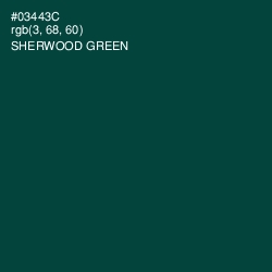 #03443C - Sherwood Green Color Image